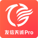 友信天诚pro软件下载