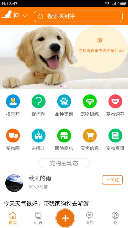 全民养狗狗app