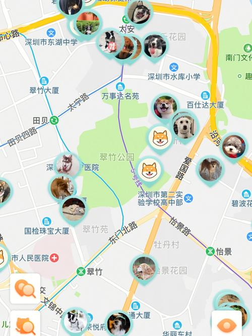 导航犬离线地图包永久免更新