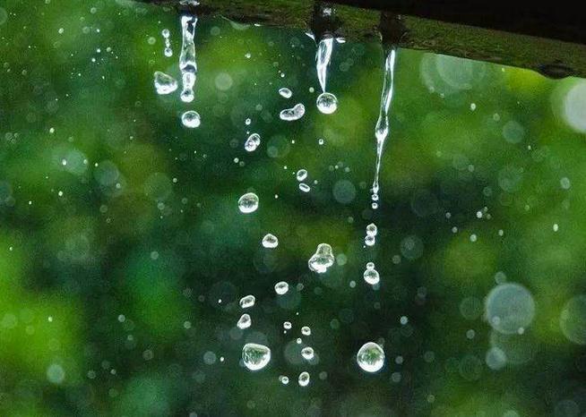 外面下着雨犹如我心血在滴什么歌