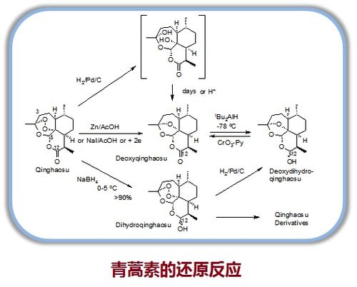 青蒿素是从什么植物中提取出来的