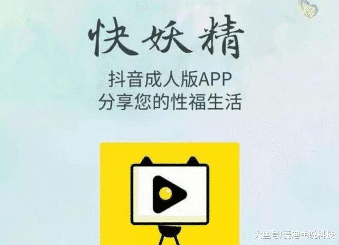 在线观看免费视频APP入口