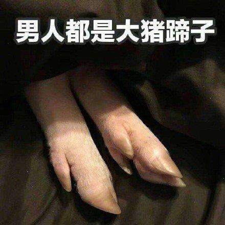 男人都是大猪蹄子是什么意思