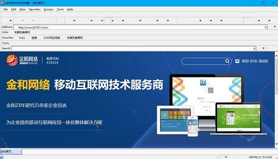 金和软件专业浏览器