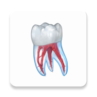 Dental Illustrations下载免费版