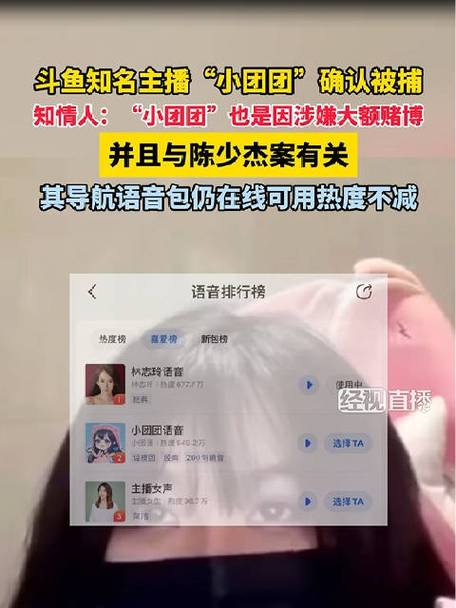 团团语音导航哪个软件有