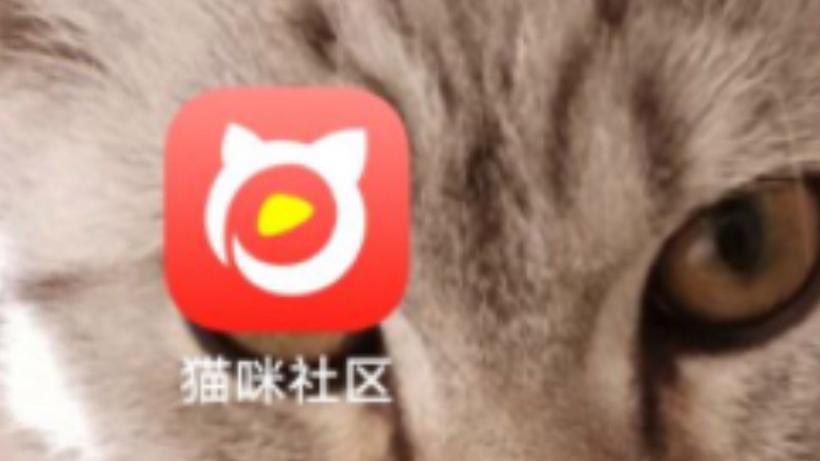 猫咪社区3.0.1官网版在线观看福利版