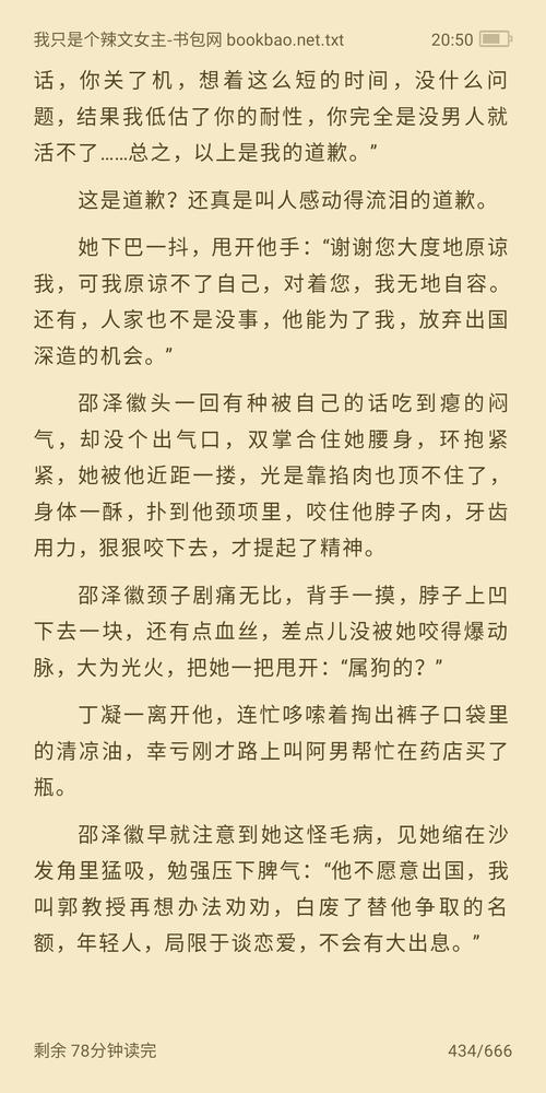 烧书阁辣文小说