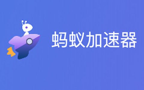 蚂蚁免费加速器破解版app