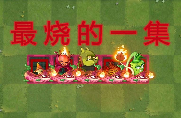 pvz2植物满级是几级