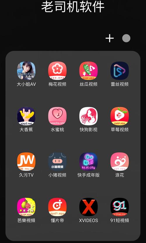 老司机软件库APP最新版