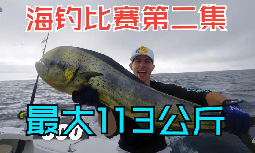 海钓大亨小说