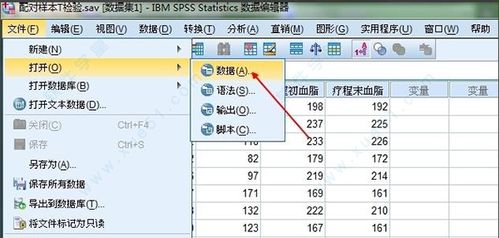 spss19.0中文版下载