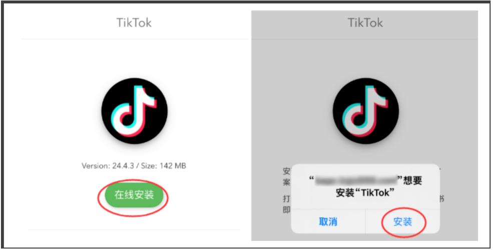 tiktok修改版