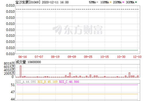 宝沙发展(01069)：王莉妮辞任非执行董事图标