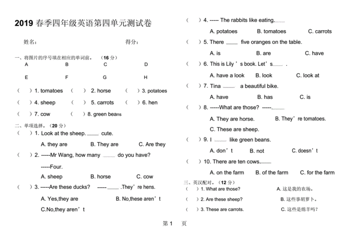 英语四级试题下载网站极速版app