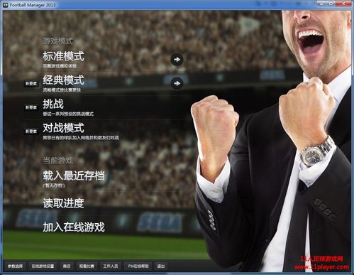 fm2013中文版下载