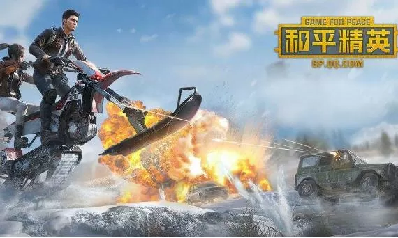 pubgtool官方版本