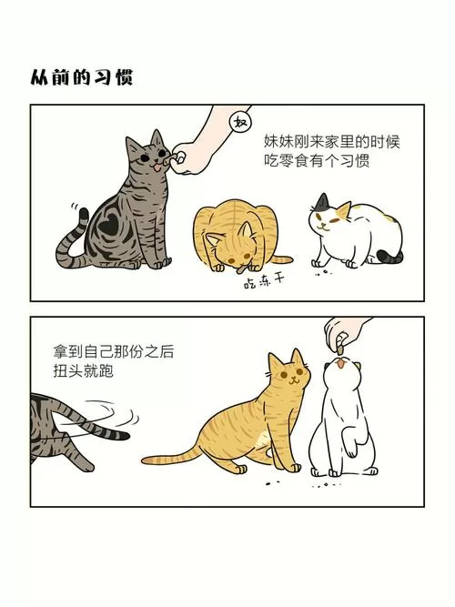 喵咖漫画为什么看不了