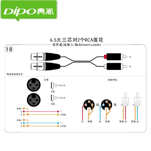 卡农接码V1.0