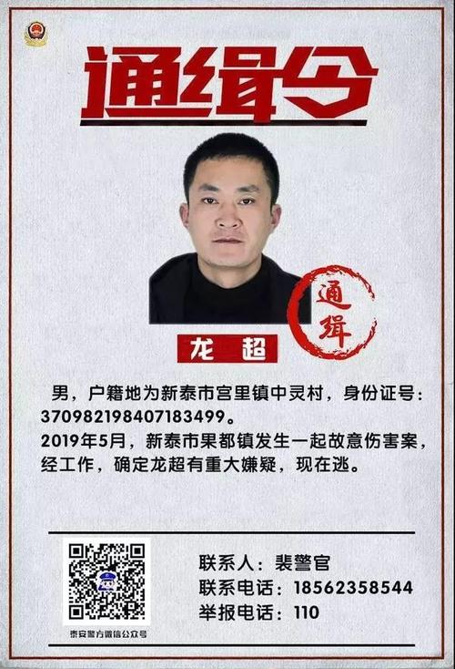 众赢任务悬赏