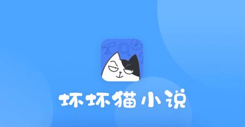 坏坏猫旧版本能用吗