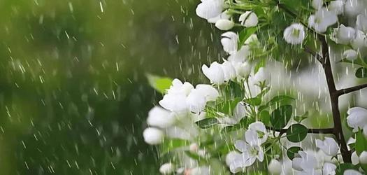 春雨天气