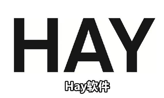 HAY外国软件