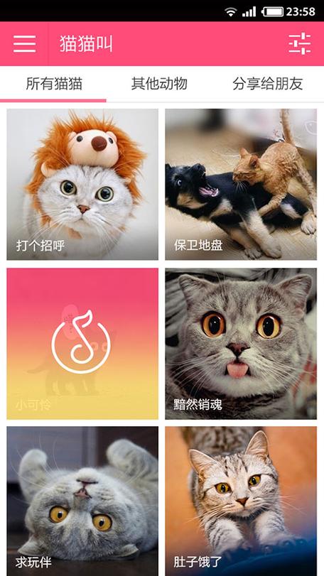 猫声APP