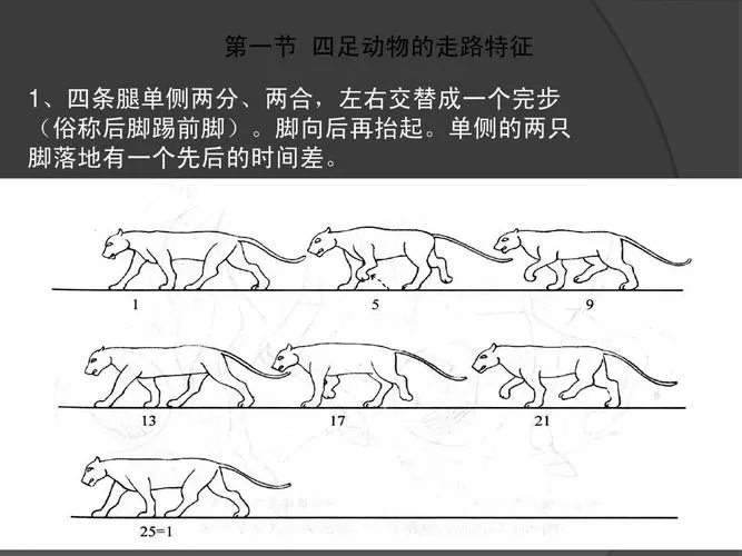 猫步运动红包版