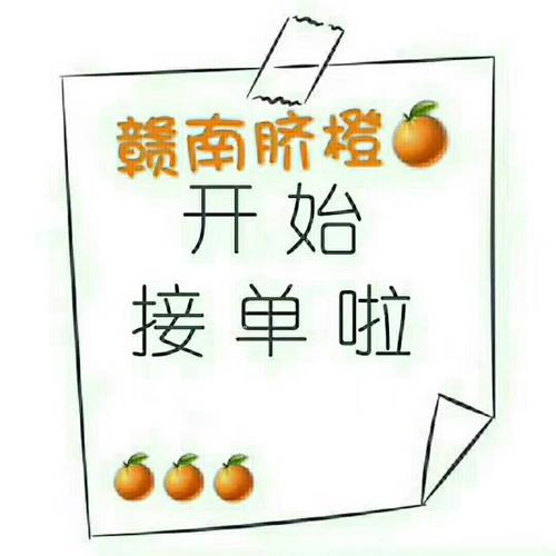 橘子接单打字软件