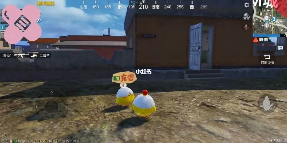 PUBG呆呆直装国体