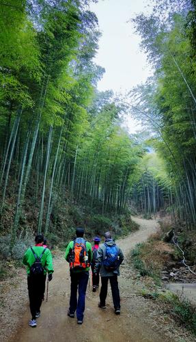 悠悠南山上一句是什么