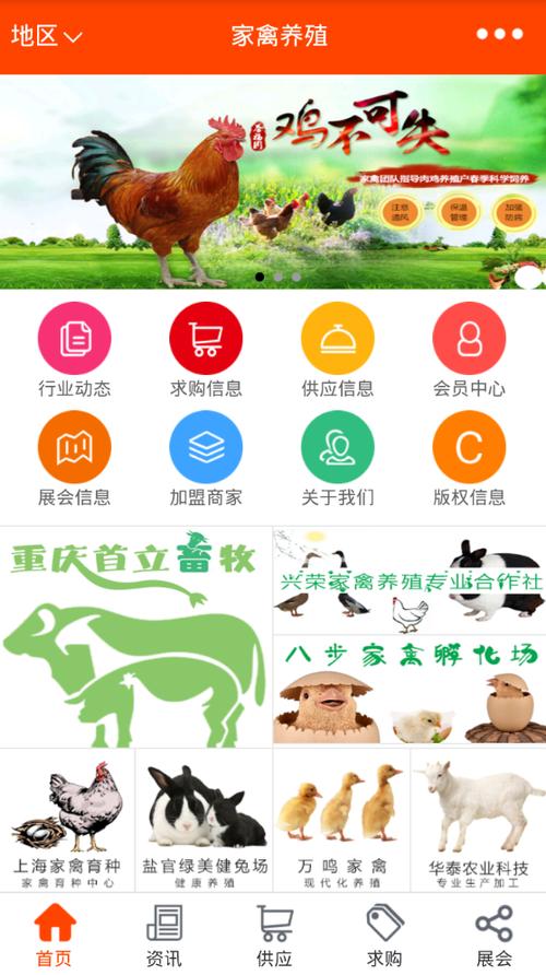 全民牧鸡app