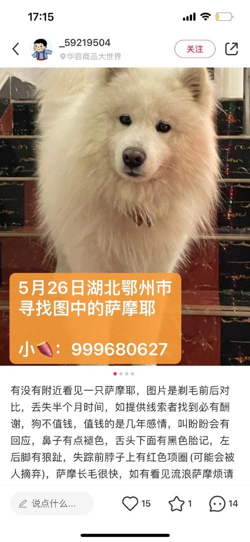 狗狗的信息