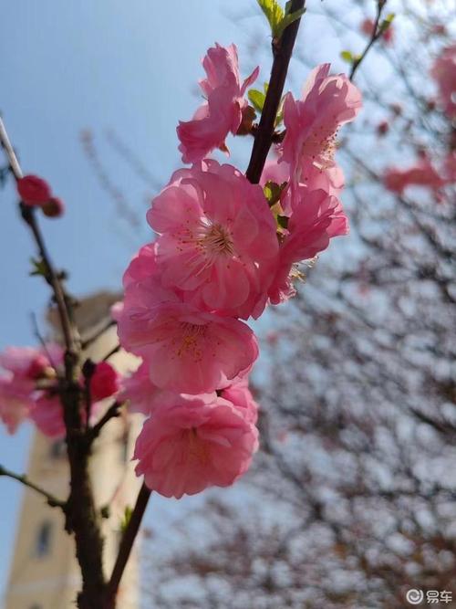 花花社区