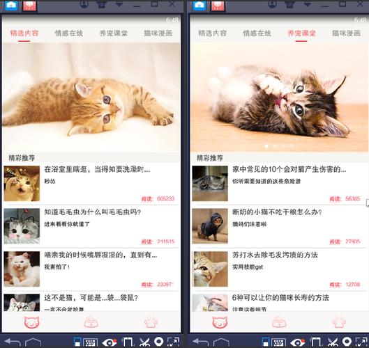 猫咪社区3.0.1官网版在线观看