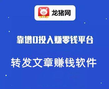 龙猪网络科技有限公司