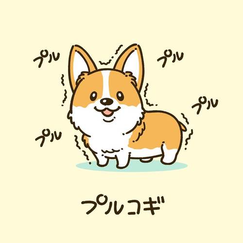 corgi柯基