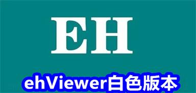 EHVIEWER老版本白色