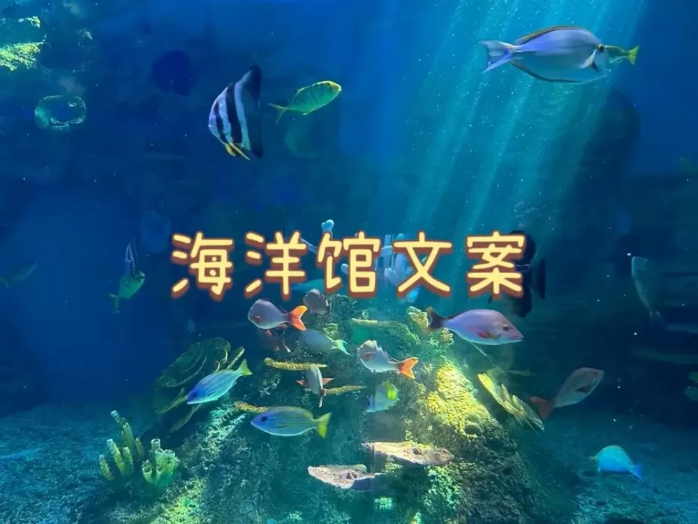 去水族馆玩的文案