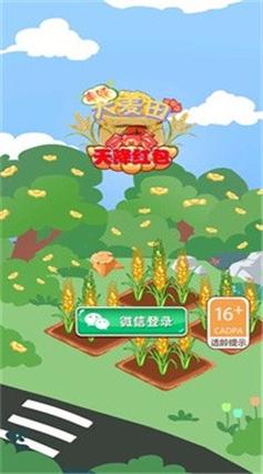 丰收大麦田红包版正版