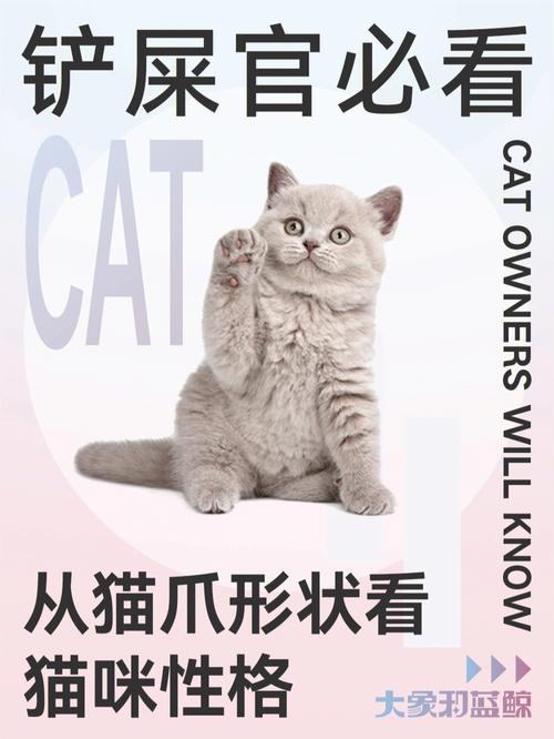 猫爪小说app