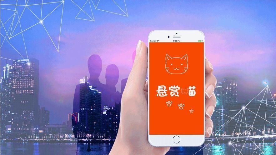 悬赏猫官网版