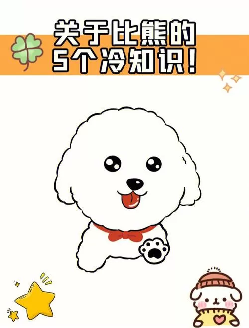 比熊犬漫画图片大全正版