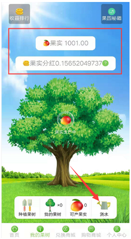分红果树app