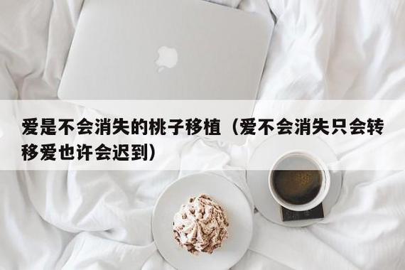 爱是不会消失的桃子移植免费阅读