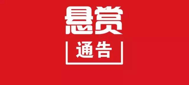 快悬赏打字