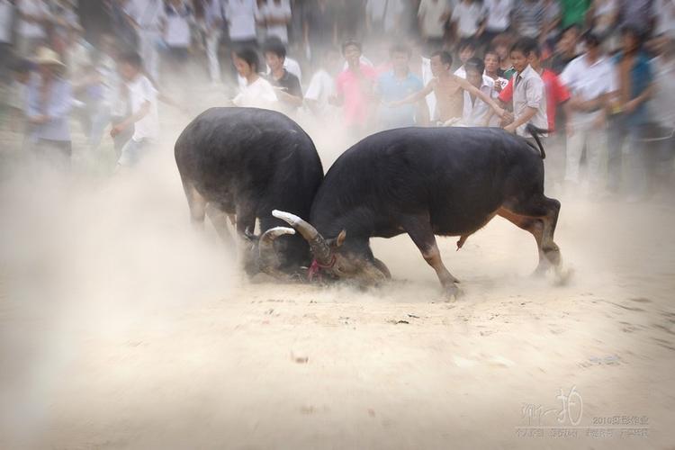 通比斗牛牛官网723.2官方版本游戏大厅有啥功能.中国