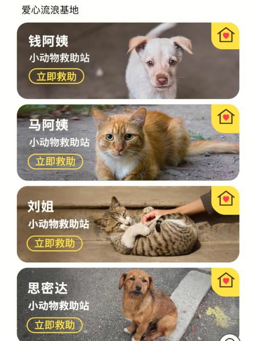 小猫平台app怎么下载